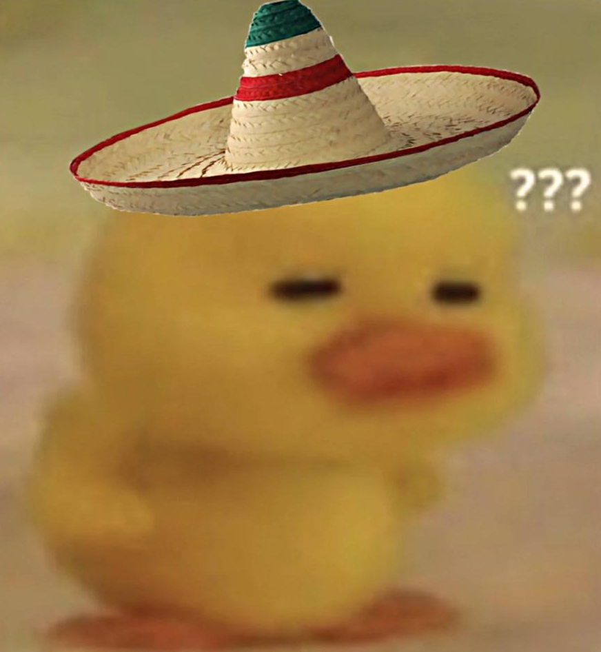 Mr Duck's profile picture